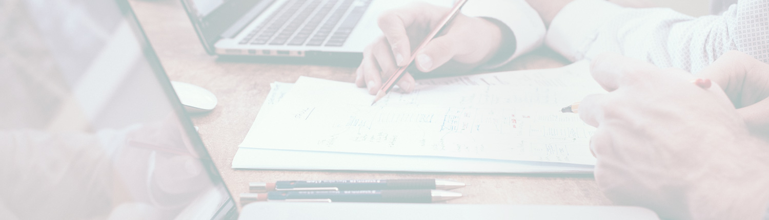 HBF Group Consulting und Business Development Header